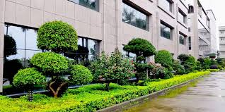 市植树及节点绿化工程招标